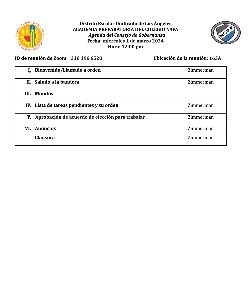 governance council agenda spanish